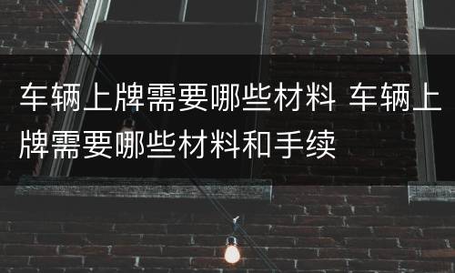 车辆上牌需要哪些材料 车辆上牌需要哪些材料和手续