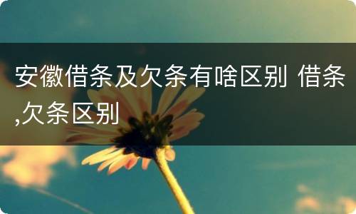 安徽借条及欠条有啥区别 借条,欠条区别