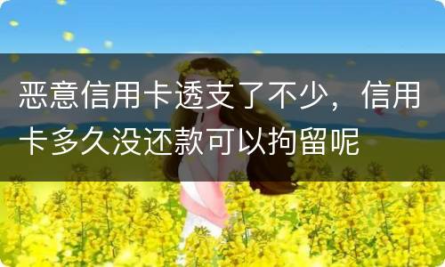 恶意信用卡透支了不少，信用卡多久没还款可以拘留呢