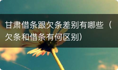 甘肃借条跟欠条差别有哪些（欠条和借条有何区别）