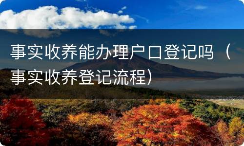 事实收养能办理户口登记吗（事实收养登记流程）