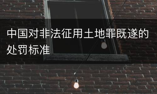 中国对非法征用土地罪既遂的处罚标准