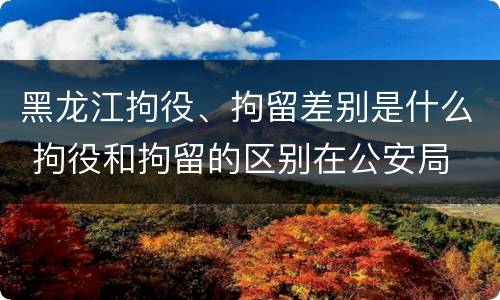 黑龙江拘役、拘留差别是什么 拘役和拘留的区别在公安局