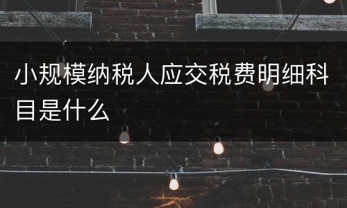小规模纳税人应交税费明细科目是什么