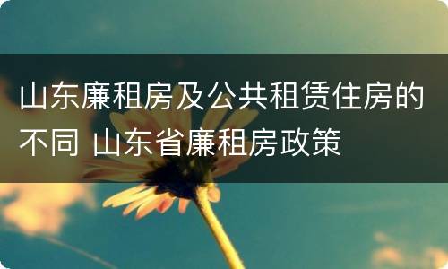 山东廉租房及公共租赁住房的不同 山东省廉租房政策