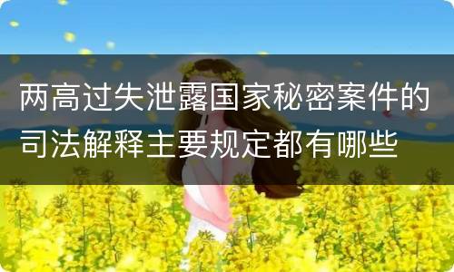 两高过失泄露国家秘密案件的司法解释主要规定都有哪些