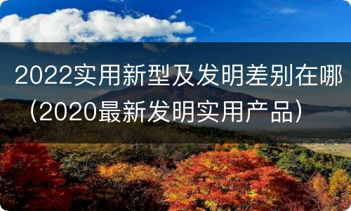 2022实用新型及发明差别在哪（2020最新发明实用产品）