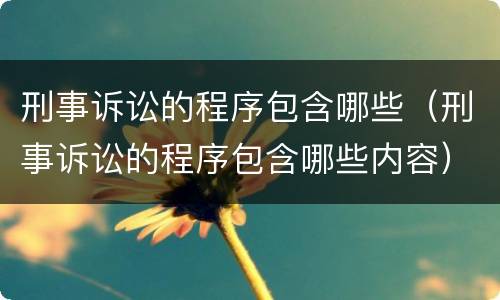 刑事诉讼的程序包含哪些（刑事诉讼的程序包含哪些内容）