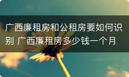 广西廉租房和公租房要如何识别 广西廉租房多少钱一个月