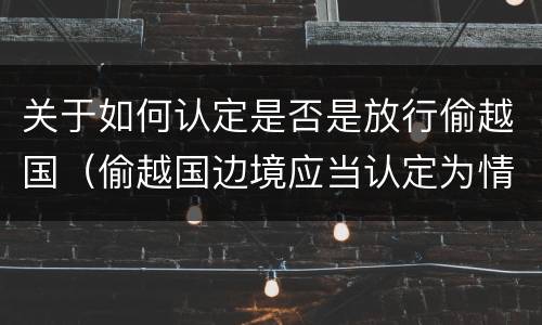 关于如何认定是否是放行偷越国（偷越国边境应当认定为情节严重的情形是）