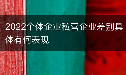 2022个体企业私营企业差别具体有何表现
