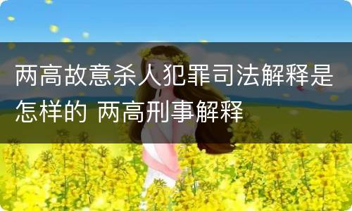 两高故意杀人犯罪司法解释是怎样的 两高刑事解释