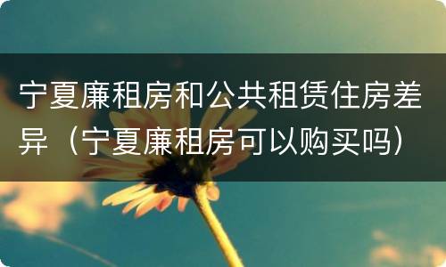 宁夏廉租房和公共租赁住房差异（宁夏廉租房可以购买吗）