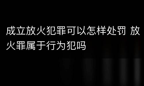 成立放火犯罪可以怎样处罚 放火罪属于行为犯吗