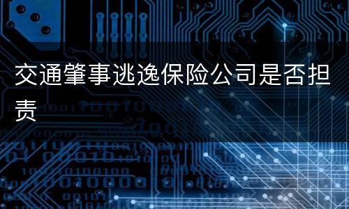 交通肇事逃逸保险公司是否担责