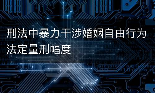 刑法中暴力干涉婚姻自由行为法定量刑幅度