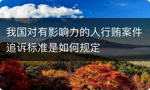 我国对有影响力的人行贿案件追诉标准是如何规定