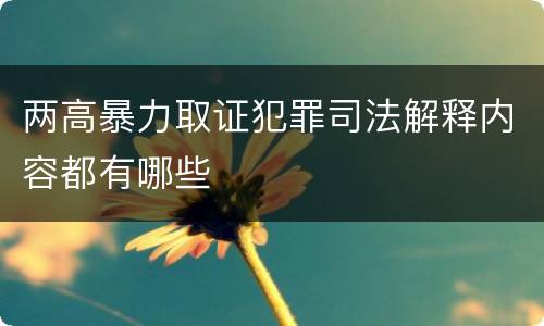 两高暴力取证犯罪司法解释内容都有哪些