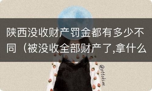 陕西没收财产罚金都有多少不同（被没收全部财产了,拿什么交罚金）