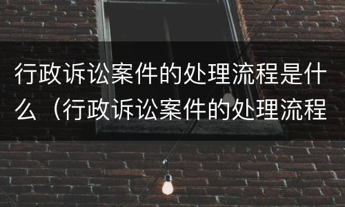 行政诉讼案件的处理流程是什么（行政诉讼案件的处理流程是什么样的）