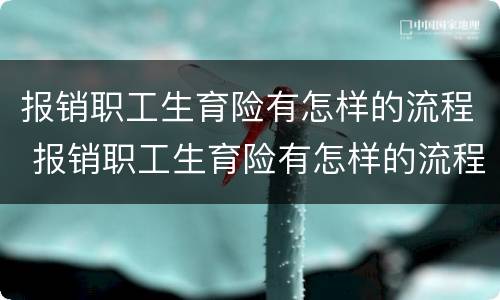 报销职工生育险有怎样的流程 报销职工生育险有怎样的流程和手续