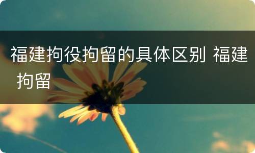 福建拘役拘留的具体区别 福建 拘留