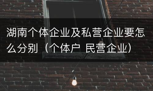 湖南个体企业及私营企业要怎么分别（个体户 民营企业）