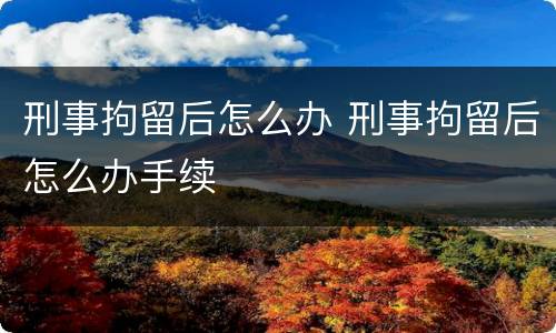 刑事拘留后怎么办 刑事拘留后怎么办手续
