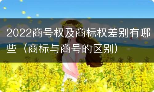 2022商号权及商标权差别有哪些（商标与商号的区别）