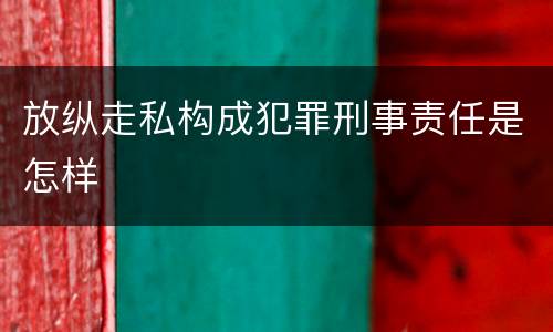 放纵走私构成犯罪刑事责任是怎样
