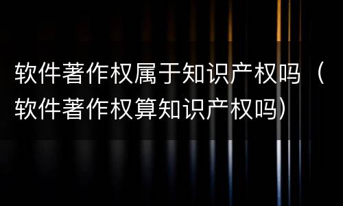 软件著作权属于知识产权吗(软件著作权算知识产权吗) 软件著作权属于知识产权吗(软件著作权算知识产权吗)