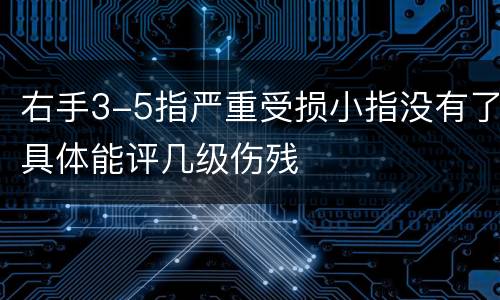 右手3-5指严重受损小指没有了具体能评几级伤残