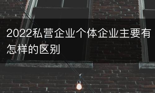 2022私营企业个体企业主要有怎样的区别