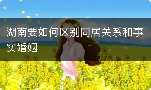 湖南要如何区别同居关系和事实婚姻
