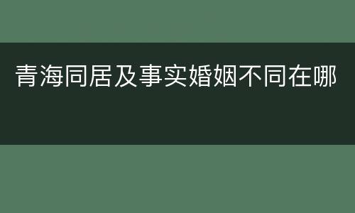 青海同居及事实婚姻不同在哪