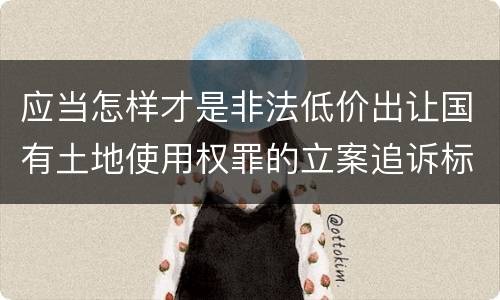 应当怎样才是非法低价出让国有土地使用权罪的立案追诉标准
