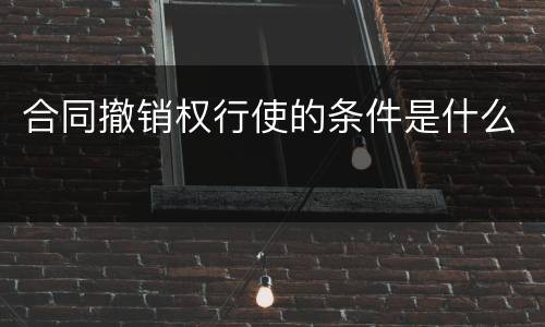 合同撤销权行使的条件是什么
