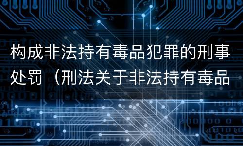 构成非法持有毒品犯罪的刑事处罚（刑法关于非法持有毒品罪的规定）