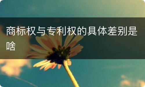 商标权与专利权的具体差别是啥