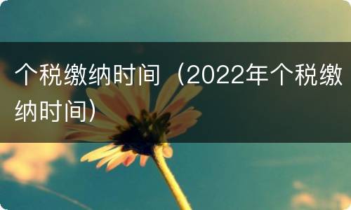 个税缴纳时间（2022年个税缴纳时间）