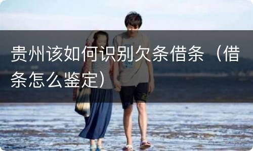 贵州该如何识别欠条借条（借条怎么鉴定）