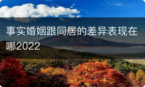 事实婚姻跟同居的差异表现在哪2022
