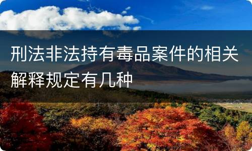 刑法非法持有毒品案件的相关解释规定有几种