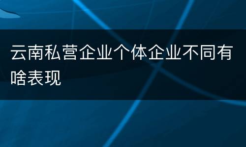 云南私营企业个体企业不同有啥表现