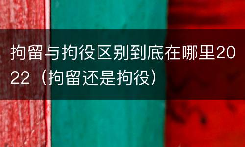 拘留与拘役区别到底在哪里2022（拘留还是拘役）