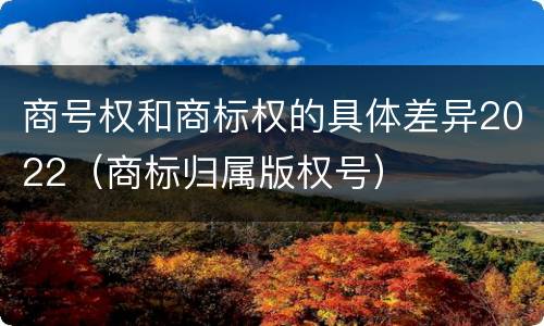 商号权和商标权的具体差异2022（商标归属版权号）