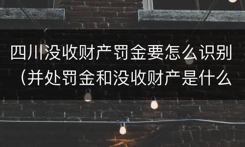 四川没收财产罚金要怎么识别（并处罚金和没收财产是什么意思）