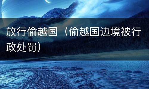 放行偷越国（偷越国边境被行政处罚）