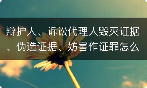 辩护人、诉讼代理人毁灭证据、伪造证据、妨害作证罪怎么构成的