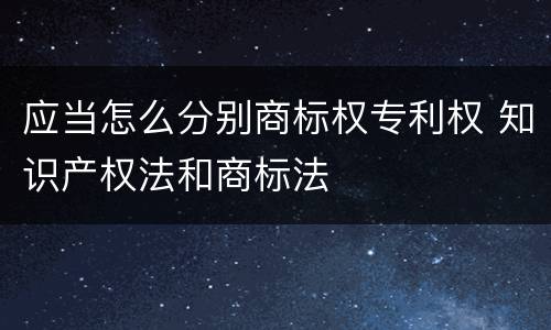 应当怎么分别商标权专利权 知识产权法和商标法